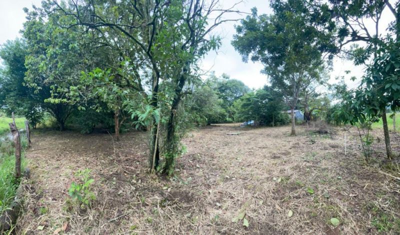VENDO FINCA EN TAURAMENA